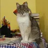 Отзыв от Гульнара Гришина